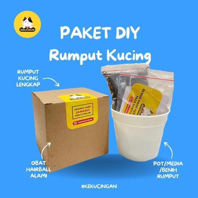 

Terlaris Rumput Kucing Paket Tanam Benih Gandum Wheatgras Lengkap