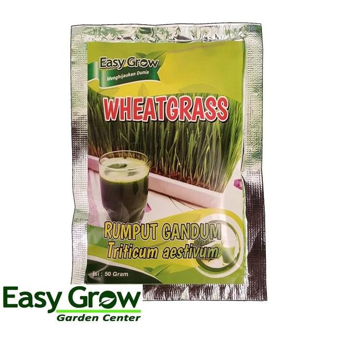

Terlaris Benih Rumput Gandum (Wheatgrass)