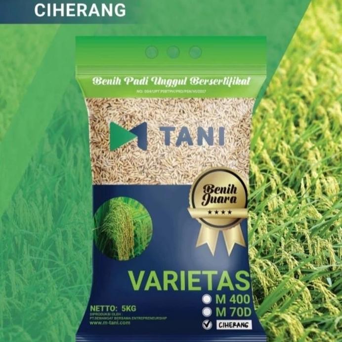 

Terlaris Benih Padi Ciherang Ss