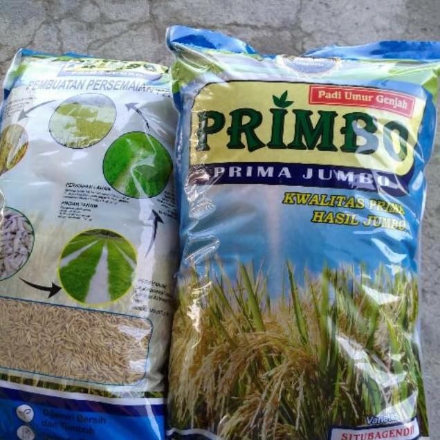 

Terlaris Bibit Padi Situbagendit Premium 5 Kg