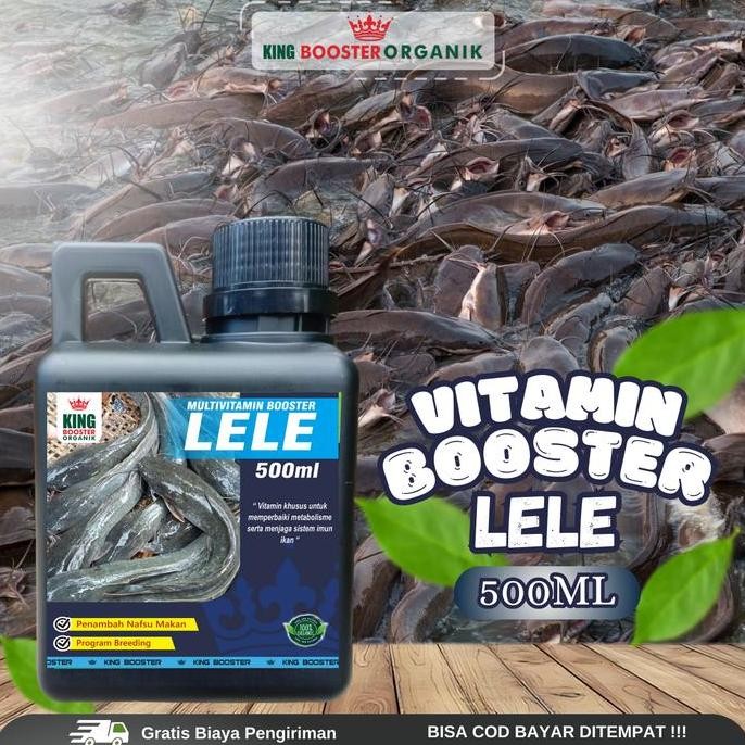 

Terlaris Vitamin Booster Ikan Lele, Vitamin Ikan Lele Agara Cepat Besar 500 Ml Probiotik Pemacu Pertumbuhan Ikan Lele Vitamin Pemacu Tumbuh Besar Dan Menjaga Kesehatan Ikan Lele Dari Jamur Dan Lainya