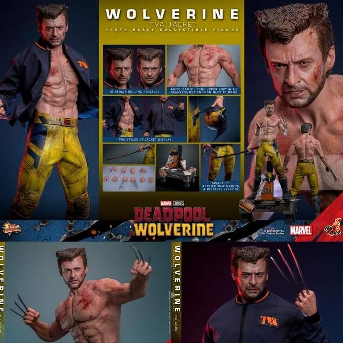 HotToysMMS7561/6DeadpoolandWolverine:WolverineTVA Jacket Figure