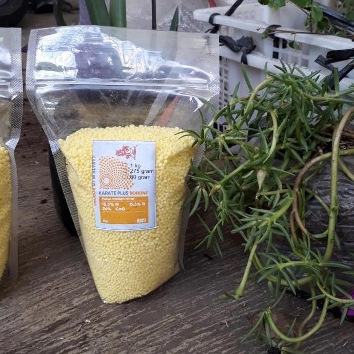 

Terlaris Npk Boroni 1Kg, Npk Kuning Kalsium Anti Rontok, Pupuk Tunas Baru