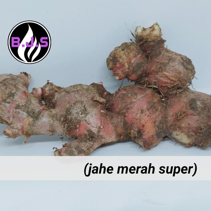 

jahe merah super 1kg