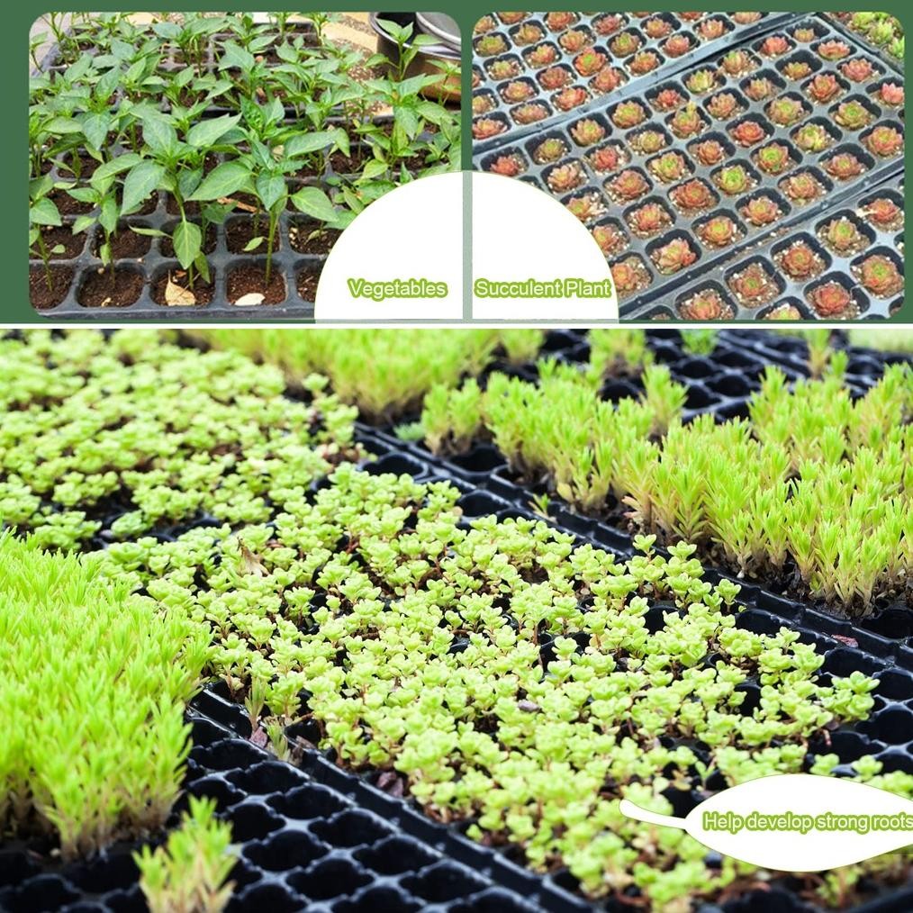 Premium Jirifarm 100Pcs Tray Semai / Tray Semai 200 Lubang / Tray Semai 128 Lubang High Quality