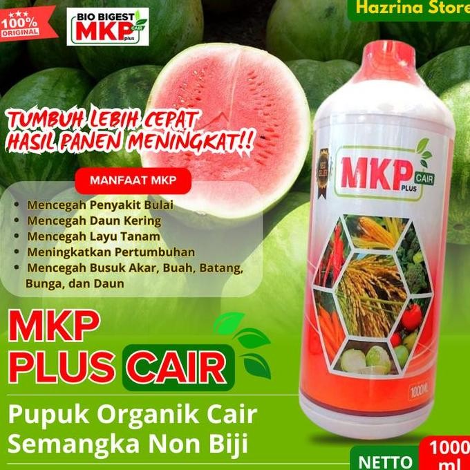 

Terlaris Pupuk Organik Cair Semangka Non Biji Pelebat Buah Booster Anti Hama Dan Rontok Bunga Mkp Bio Bigest