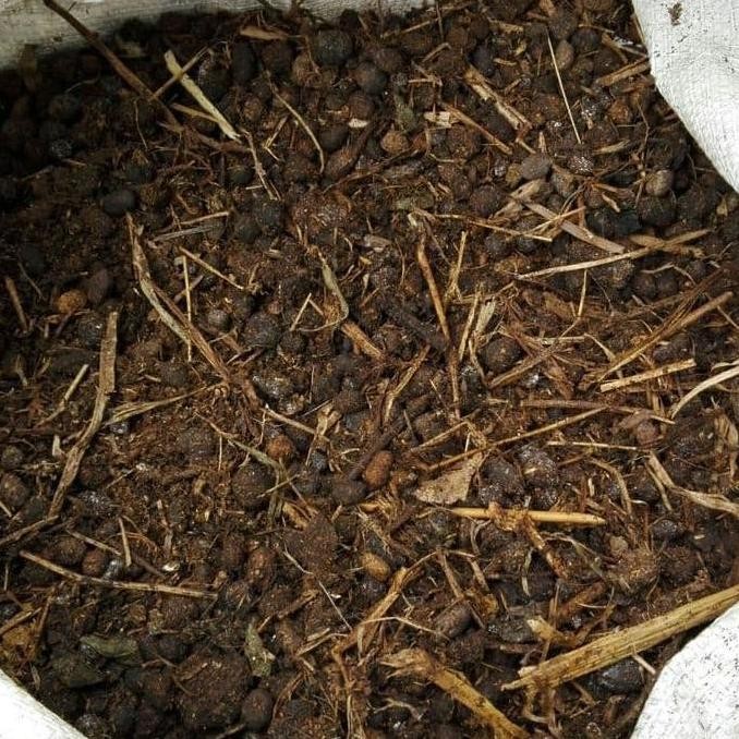 

Terlaris Promo Terlaris Pupuk Kandang Kotoran Kambing 1 Kg Pupuk Kasar Pupuk