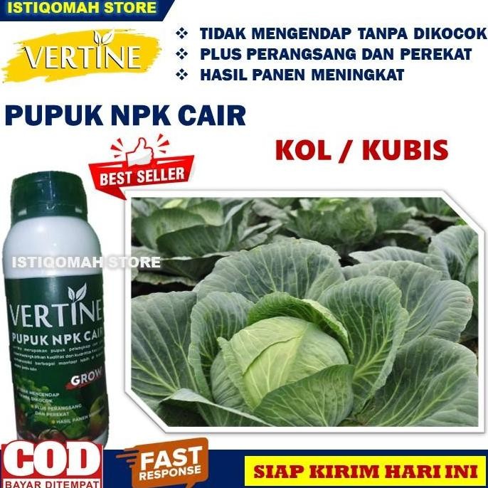 

Terlaris Vertine Grow 500Ml Pupuk Npk Cair Untuk Tanaman Kol Kubis Terbaik - Pupuk Penyubur Tanaman Sayuran Kol Kubis - Pupuk Semprot Tanaman Sayuran Kol Kubis Paling Bagus Manjur Pelebat Buah Kol Kubis Besar