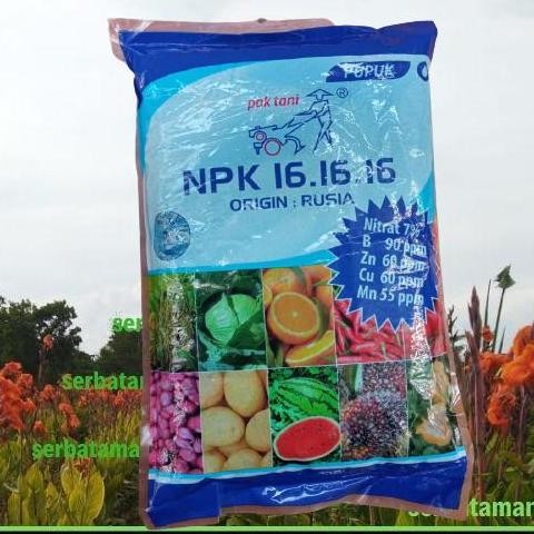 

Terlaris Pupuk Npk Kemasan 16-16-16 Origin : Rusia / Pupuk Tanaman