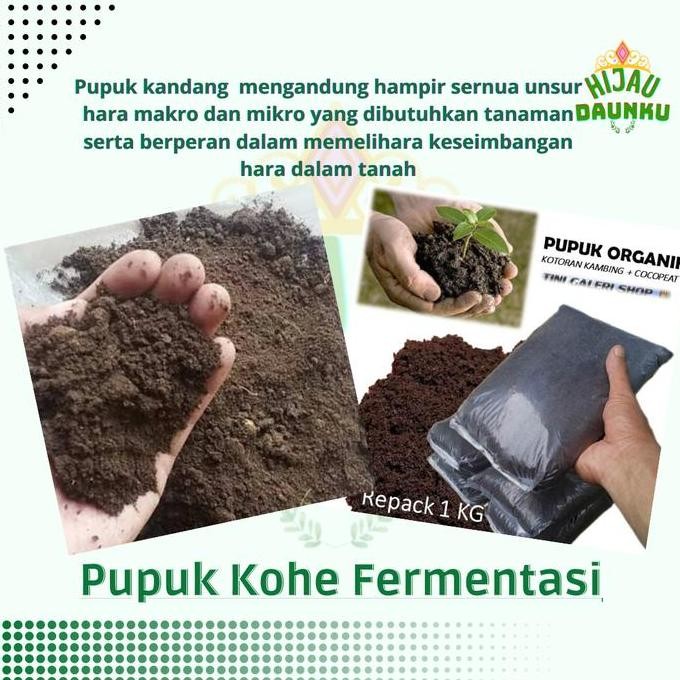 

Terlaris Pupuk Kandang Halus Steril Siap Pakai 1Kg Kohe Kambing Sapi Fermentasi Penyubur Tanaman Tanah