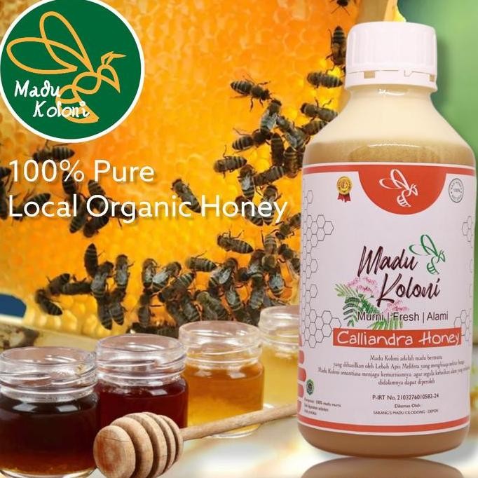 

BARU MADU KALIANDRA SUPER 1.5KG, MADU MURNI, MADU ORGANIK, GRADE A