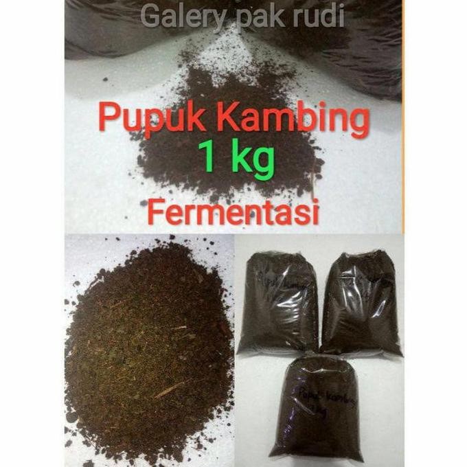 

Terlaris Pupuk Kandang Kotoran Kambing Murni Halus 1 Kg