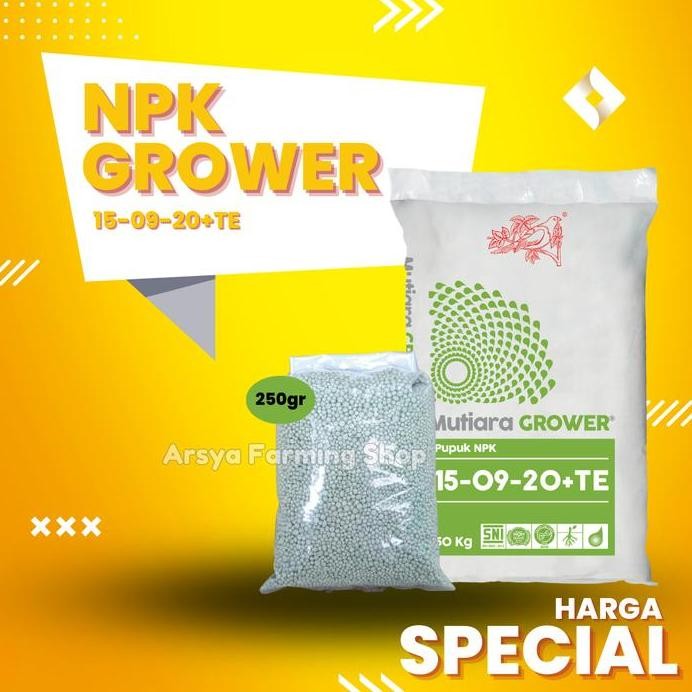 

Terlaris Meroke Npk Mutiara Grower 15-09-20 Kemasan Repacking 250 Gram