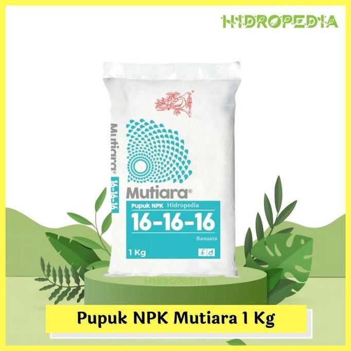 

Terlaris Pupuk Npk Mutiara 16 - 16 - 16