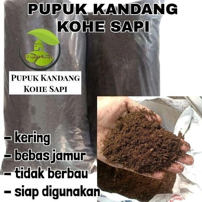 

Terlaris Pupuk Kandang Organik Kotoran Hewan Sapi 1Kg Kualitas Premium Tidak Bau Hasil Permentasi