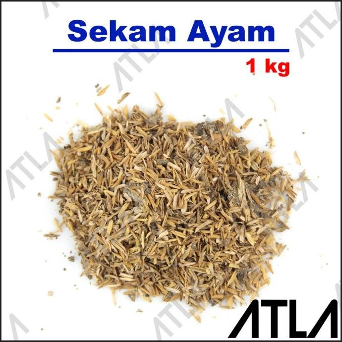 

Terlaris Sekam Campur Kandang Ayam 1Kg Pupuk Kompos Media Kotoran Tanam 1 Kg