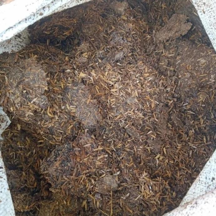 

Terlaris Pupuk Kandang Kotoran Ayam Kemasan 4Kg