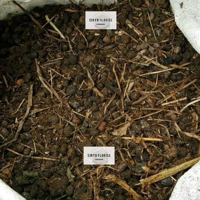 

Terlaris Pupuk Kandang Organik 1 Kg