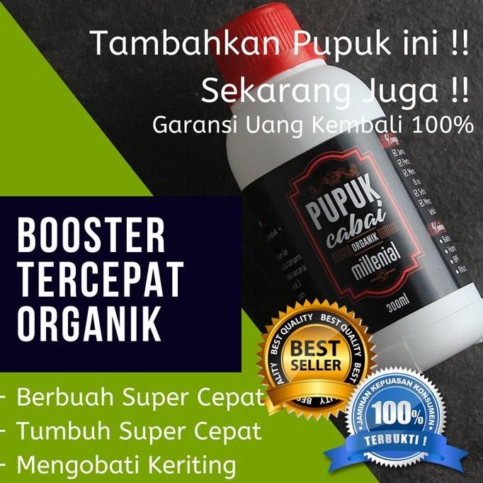 

Terlaris Terdasyat!! Pemacu Pupuk Kandang Tanaman Cabe / Cabai Super Cepat