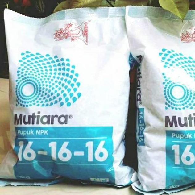 

Terlaris Pupuk Mutiara Npk 16-16-16 Repack 250 Gram Untuk Segala Jenis Tanaman
