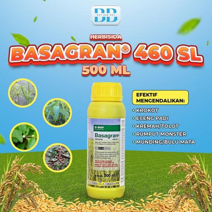 

Terlaris Obat Rumput Teki [Racun Rumput]-Herbisida Sistemik Padi Basagran 500Ml