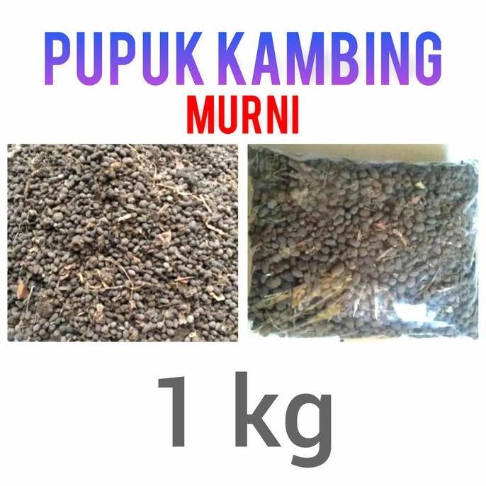 Terlaris Pupuk Kambing Murni Pupuk Srintil Pupuk Kandang Pupuk Kambing Kasar