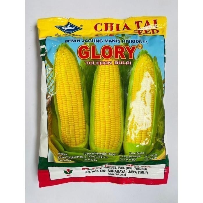 

Terlaris Benih Glory Jagung Manis Hibrida F1 Isi 250Gr Dari Cap Kapal Terbang