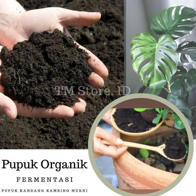 

Terlaris Pupuk Organik Pupuk Kandang Kambing Fermentasi