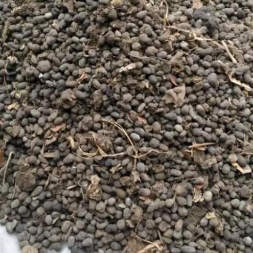 

Terlaris Pupuk Kandang Kambing Murni Karungan 3 Kg
