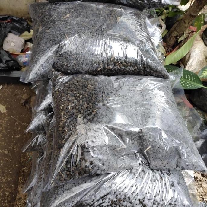 

Terlaris Pupuk Kandang Domba