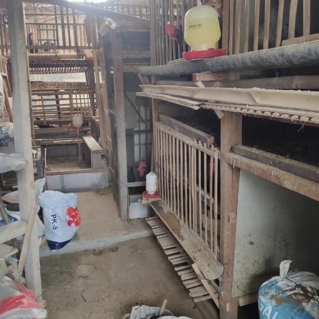 

Terlaris Terbaik Terpercaya Pupuk Kandang Kotoran Ayam Fermentasi Murni Halus Kering Berkualitas