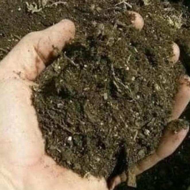 

Terlaris Mur.4H Pupuk Kandang Kambing Halus