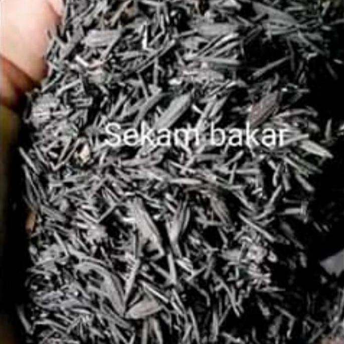 

Terlaris 1 Karung Sekam Padi Bakar 15 Kg