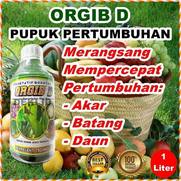 

Terlaris Orgib D Hijau 1 Liter Pupuk Masa Pertumbuhan Npk Cair Booster Daun Batang Akar Nutrisi Vegetatif Tanaman