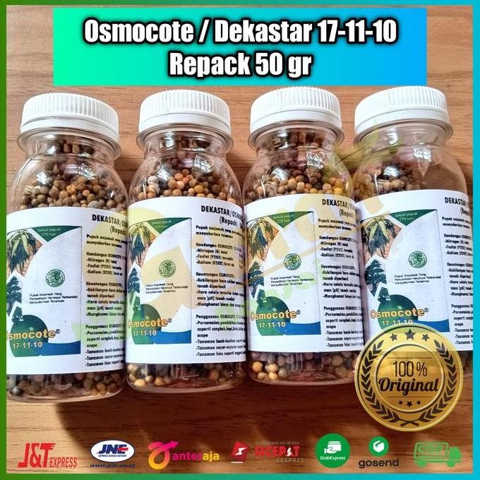 

Terlaris Dekastar Osmocote 17 11 10 Repack 50 Gram Pupuk Daun Npk Slow Release
