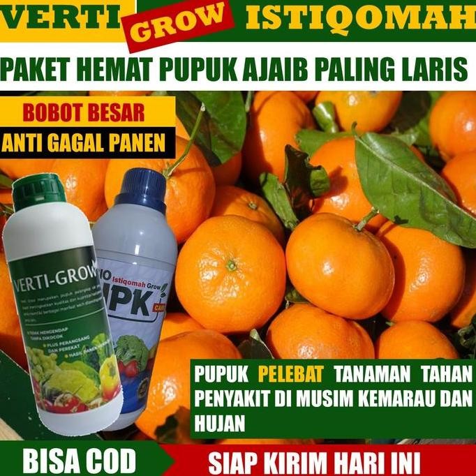 

Terlaris Paket Duo Ampuh Verti-Grow Dan Bio Istiqomah Grow - Duo Npk Cair Perangsang Jeruk Subur Cepat Berbunga Dan Berbuah - Obat Perangsang Bulu Bunga Dan Buah Pada Jeruk Terbaik - Pupuk Jeruk Limau, Jeruk Keprok Jeruk Bali Dan Semua Jenis Jeruk