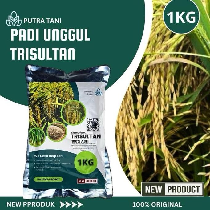 

Terlaris Benih Padi Trisultan Premium Kemasan 1Kg