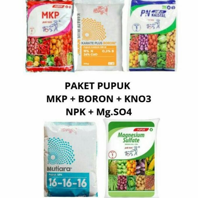 

Terlaris Paket Pupuk Anggur Mkp + Boron + Kno3 Putih + Npk + Magnesium Sulfat