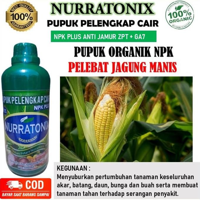 

Terlaris Pupuk Organik Pelebat Jagung Manis Terbaik - Pupuk Pelengkap Cair Npk Plus Anti Jamur Zpt + Ga7 Nurratonix Obat Semprot Pelebat Tanaman Jagung Manis - Pupuk Organik Nurratonix Mencegah Terhadap Penyakit