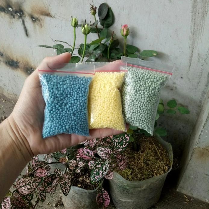 

Terlaris Pupuk Npk Mutiara 80 Gram Kemasan Kecil, Npk Untuk Daun Bunga Buah