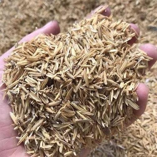 

Terlaris Sekam Padi Mentah 1 Kg