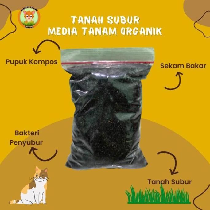 

Terlaris Allshop1- Pupuk Kandang Sapi Halus Siap Pakai Dan Tidak Bau