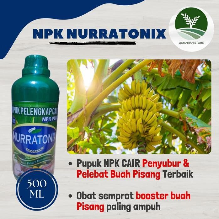

Terlaris Termurah Npk Nurratonix 500Ml Pupuk Booster Buah Pisang Paling Ampuh -Pupuk Pertumbuhan Tanaman Pisang Terbaik