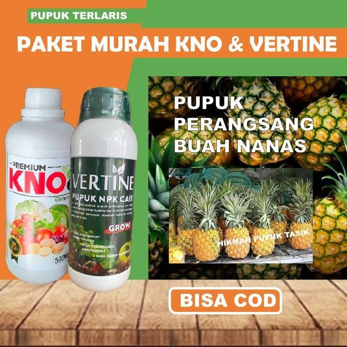 

Terlaris Pupuk Npk Paket Duo Kno & Vertine Perbanyak Buah Nanas Obat Cair Semprot Untuk Buah Nanas Terlaris