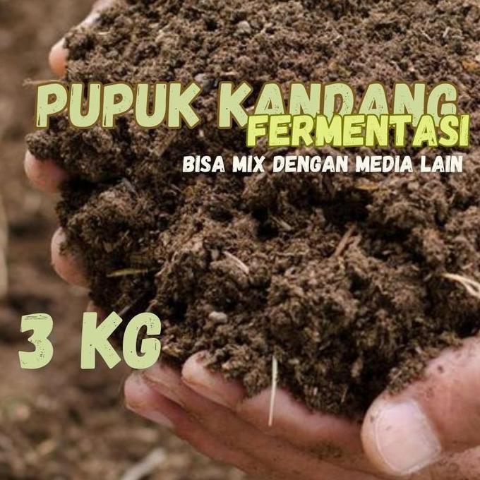 

Terlaris // Kohe Pupuk Kandang Murni Fermentasi 3Kg //