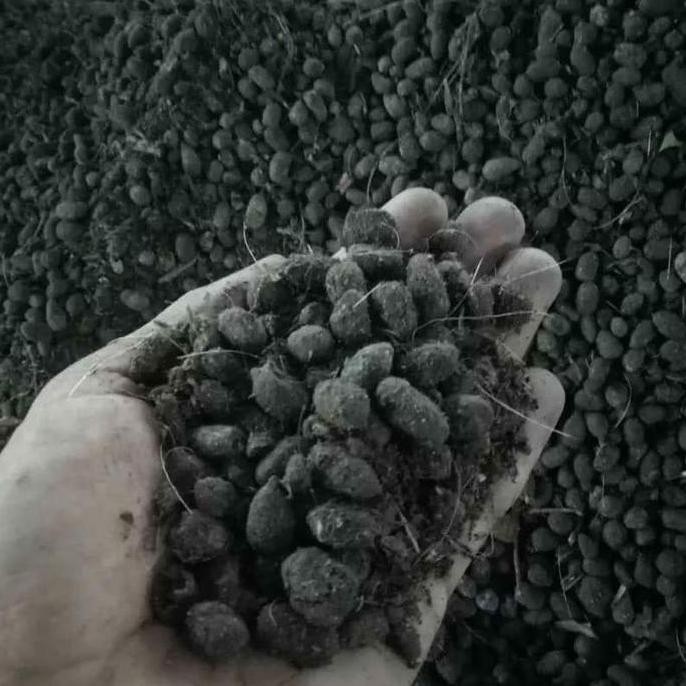 

Terlaris Pupuk Kandang Kotoran Kambing 1Kg/Media Tanam Kotoran Kambing Murni