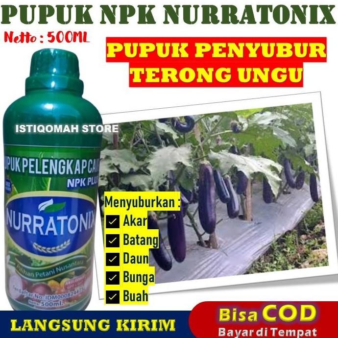 

Terlaris Pupuk Penyubur Tanaman Terong Ungu | Nutrisi Tanaman Terong Optimal | Pupuk Npk Dan Organik Berkualitas | Pemacu Pertumbuhan Terong Ungu | Pupuk Pembesar Buah Terong | Booster Tanaman Terong Panen Melimpah Cepat Npk Nurratonix 500Ml