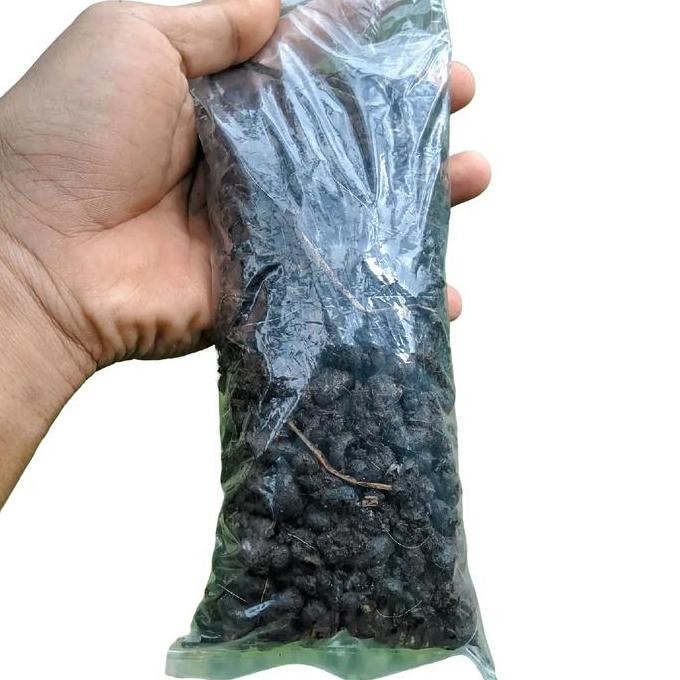 

Terlaris Pupuk Kandang Kambing 1 Kantong Segar,Dari Kandang Sendiri ,Untuk Segala Jenis Tanaman