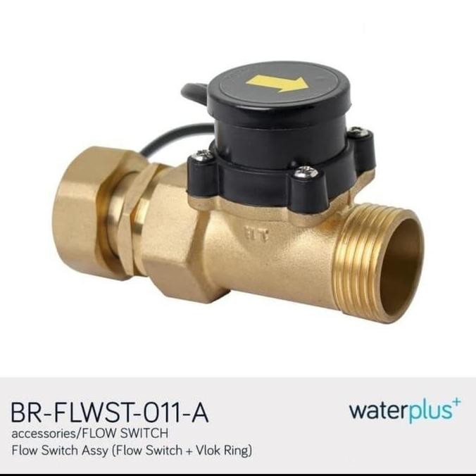 Flow Switch 1 Inch Water Plus