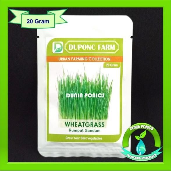 

Terlaris Benih Bibit Wheatgrass Rumput Gandum Wheat Grass 20 Gram Ttjbgq 8901Ht